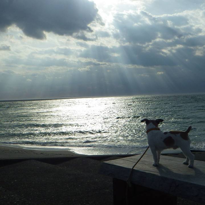 3182c6a3 edb5 496c ba19 d6ea93764605 1563454808391