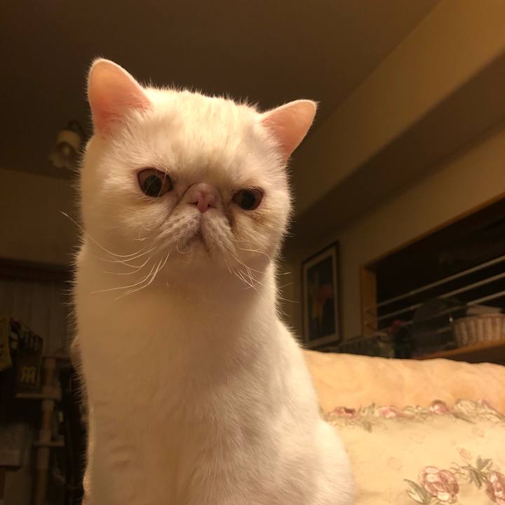 3182e0b5 780c 4e34 a90d 7fcf188bcbf7 1640772244650