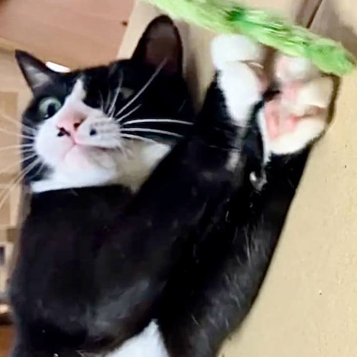 31830216 a0ee 4b78 a622 f961d13fc138 1728272583046