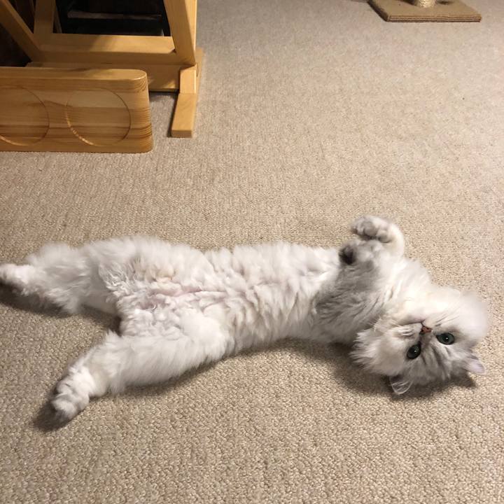 318342af 8fee 404f bf4e 1dbcf02d4c89 1594031611352