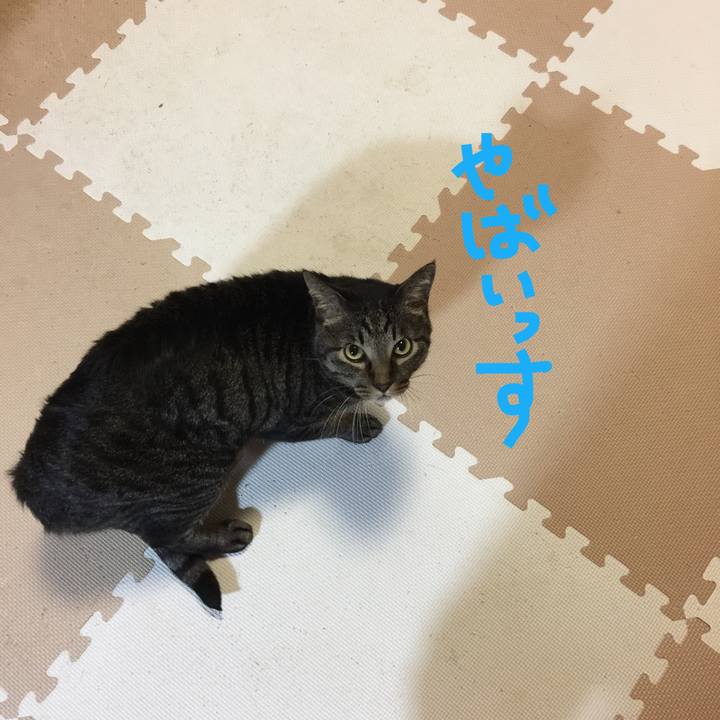 31834f2b 7517 4c5b ba4d 599f4b8d0b33 1508488646266