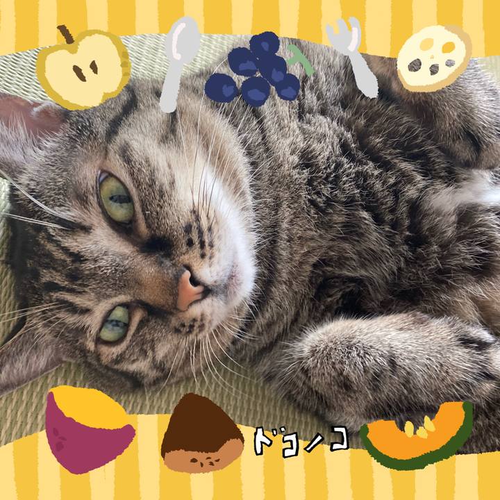 318381d5 95b5 4ed4 8d23 994e9e0545b7 1726803564677