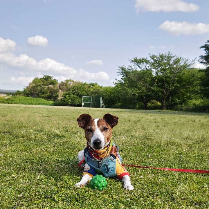 3183846a a1b4 4c73 902d 110cab4e95e5 1746430065357