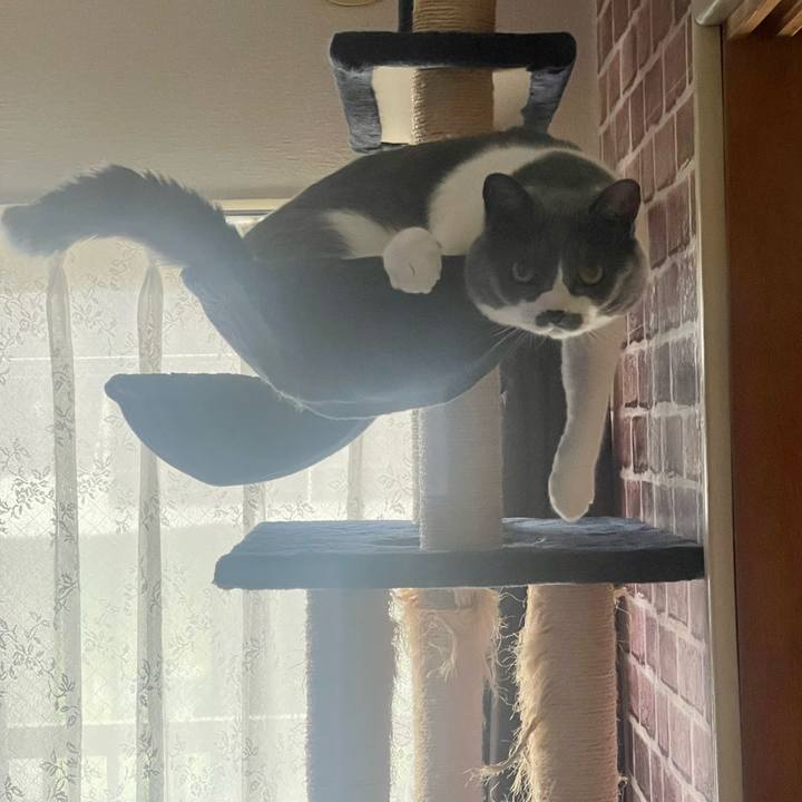 31838cf6 459a 4d30 b2ff 384079a9eb49 1687998651887