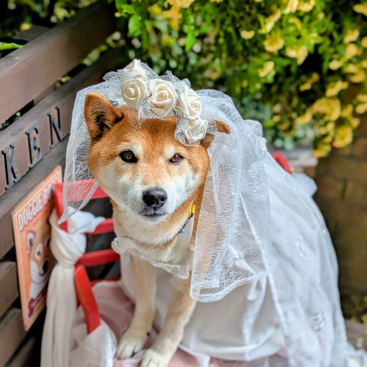 3183943c 23b6 422a a988 f5f2b670a988 1747903779503