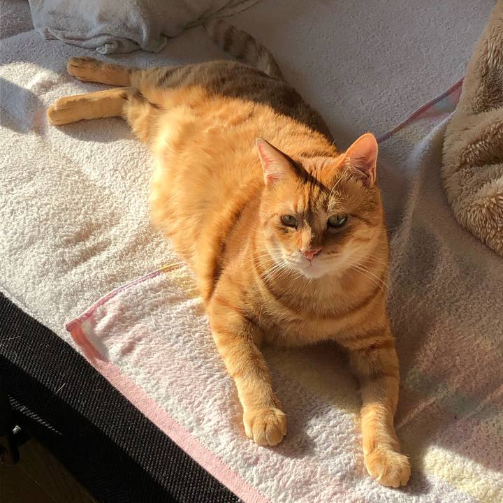 31839b5e a03d 432d aee5 f9e9992e3f2d 1587418698843