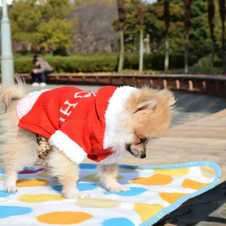 3183bf7a 20e1 49e4 8e58 d4bdff312bf0 1512372440033