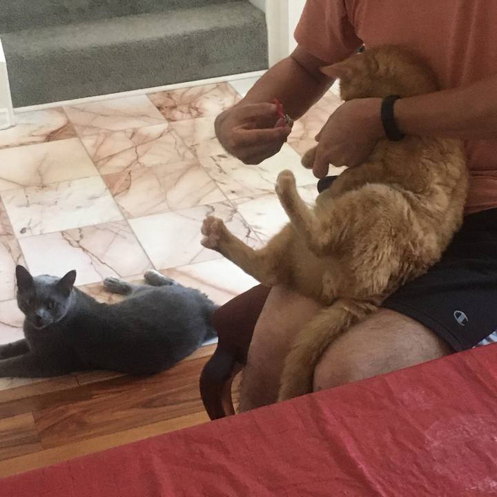 3183fa61 1d72 4316 a387 fe22bb8e6c7f 1660693213516