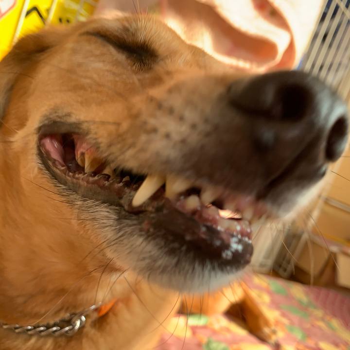 3184045b 19c0 4755 9314 068a00208ad6 1563508735020