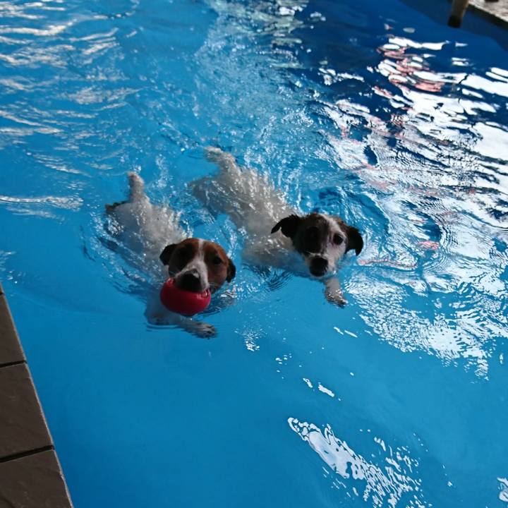 31842595 2476 4f0a 991b 828c9ab54f15 1557891985096