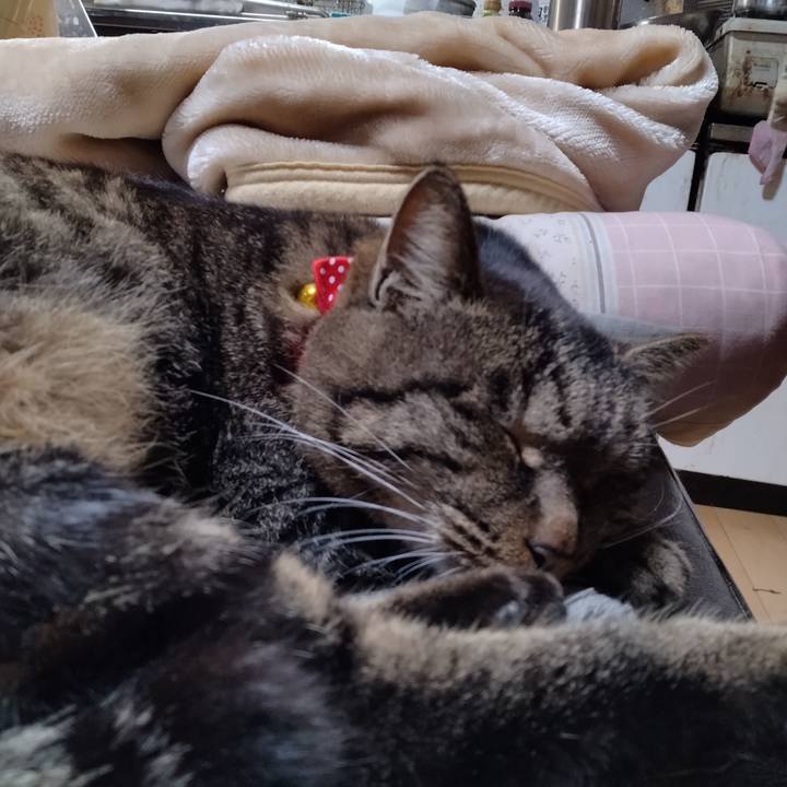 318439a4 0647 4c86 a524 cc0e9b8af6f4 1670973949739