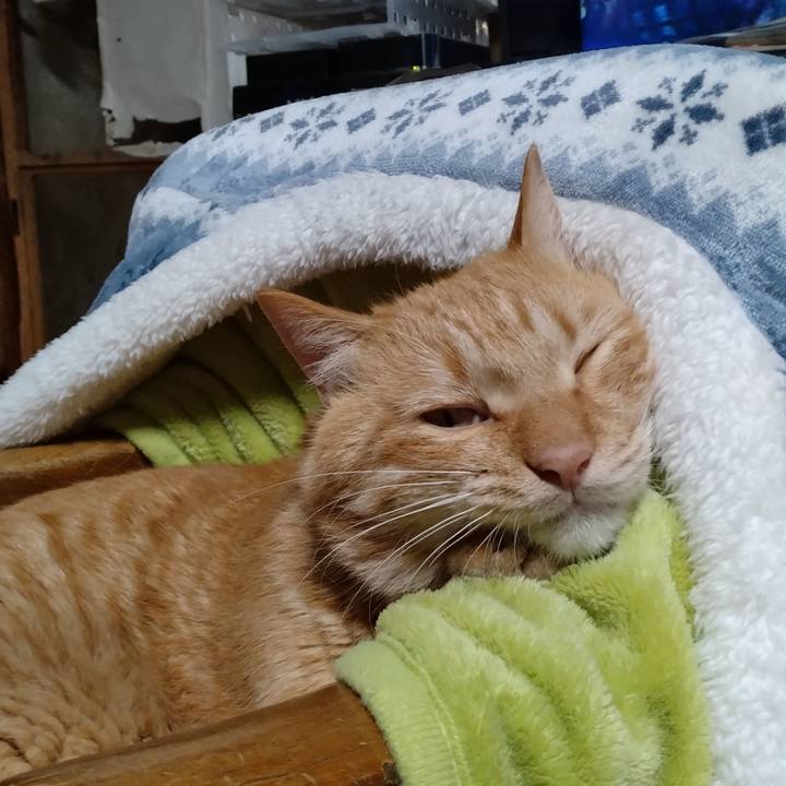 31843e3c 0708 450d 8486 0781bdf34105 1669724859164