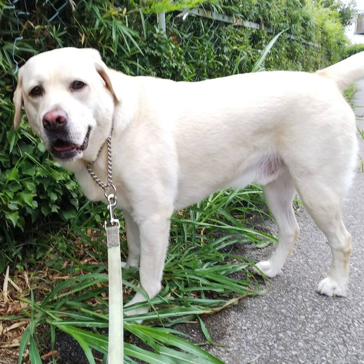 31848221 ef2b 4432 9c49 29dbabef11cf 1535083937190