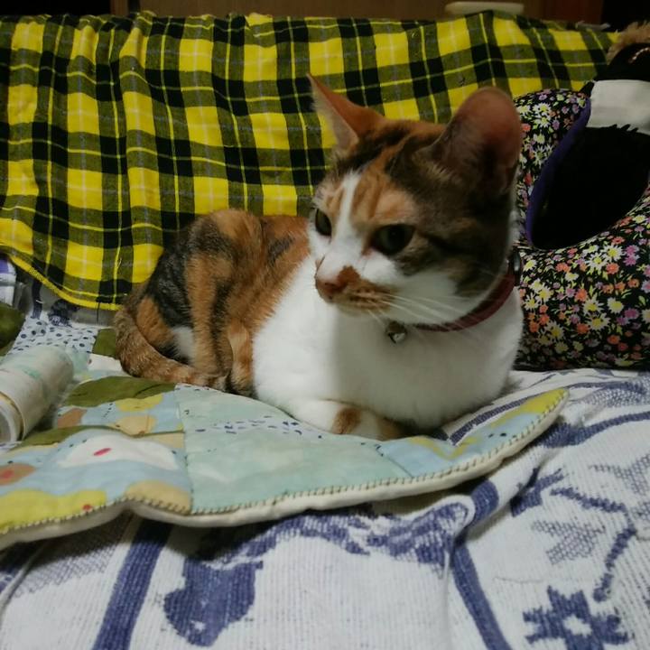 31848aa1 fd27 49a7 87f9 c9cd018ef8fd 1538401247043