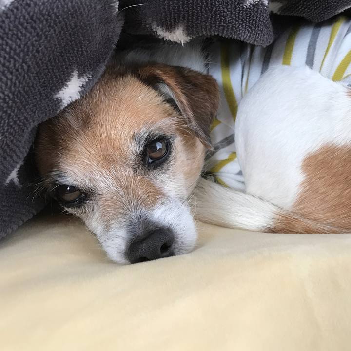 3184921e e5c7 4a35 b028 5e7f005e41aa 1587710431003