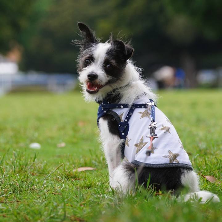 3184b4ac b2c1 41cb b8c4 c2cc4f35a086 1528883008569