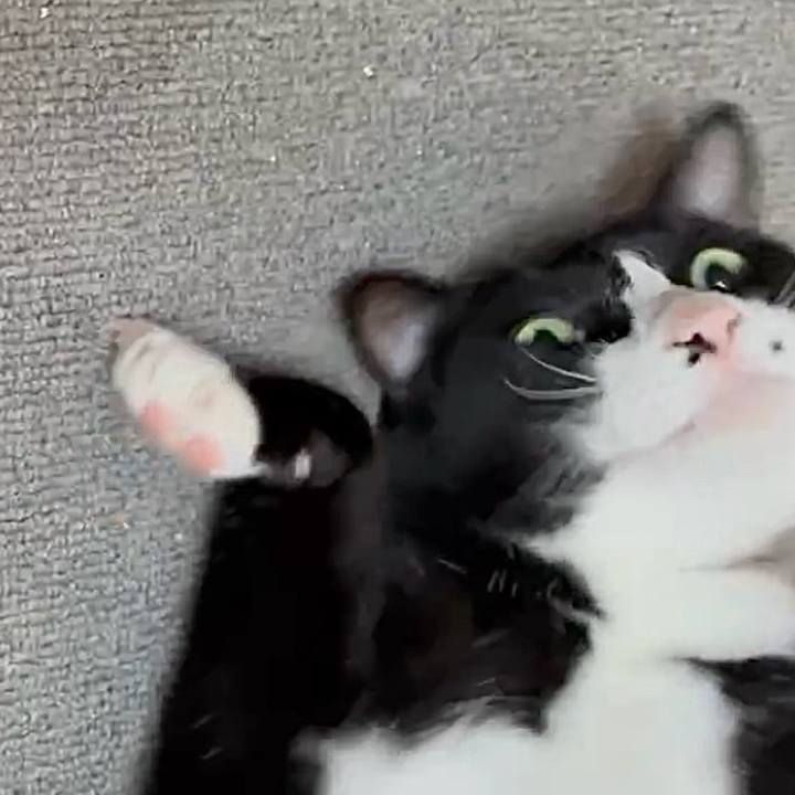 31851f37 db3b 48c0 a34a 74326f3fc2dd 1757208928768