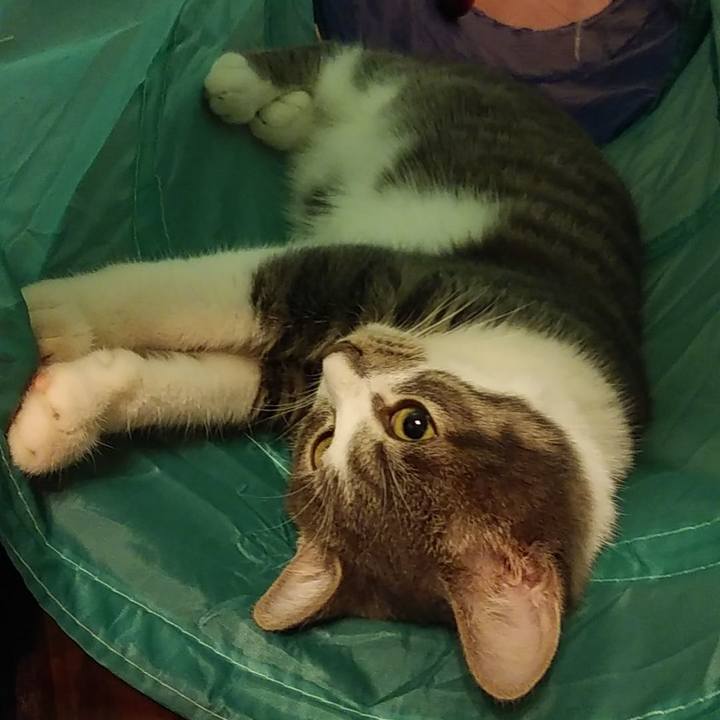 318526e3 d007 4223 809c 85d7f70ab828 1569772797850