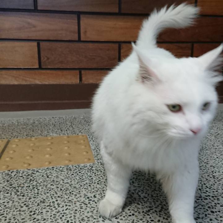 31857811 48c4 42c0 9091 15ef0b066425 1529447804560