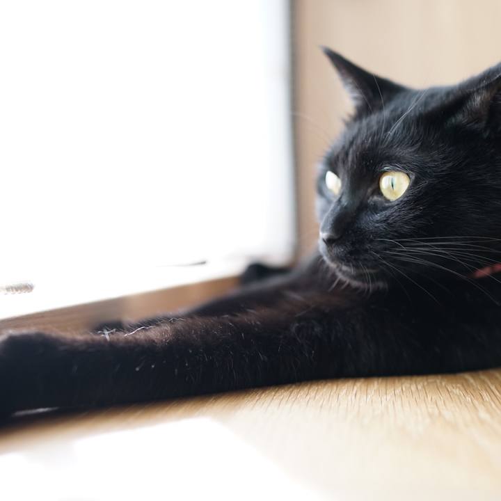 31857ad5 0855 40ff 87af d3174289e03c 1561592541031