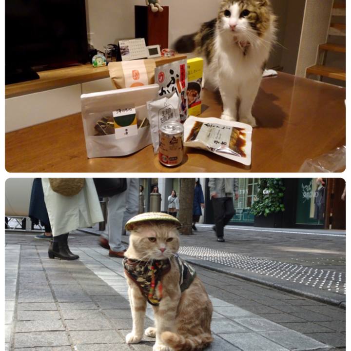 318586bb 45f6 49a3 a3c0 1e05b22ab0af 1555848585858