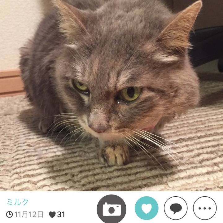 3185a92c a471 4d6f acfa 66f738ceb8a5 1511691194385