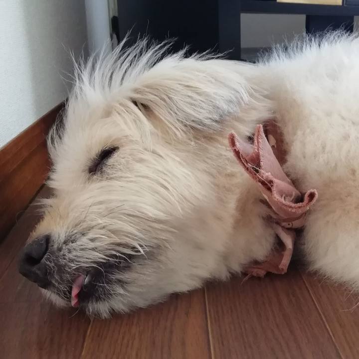 3185afa6 e42c 4baf b425 fc6628b8ba48 1564557668184