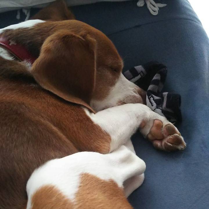 3185b42d 5d48 4786 90aa 4522a4398a2d 1631861384767