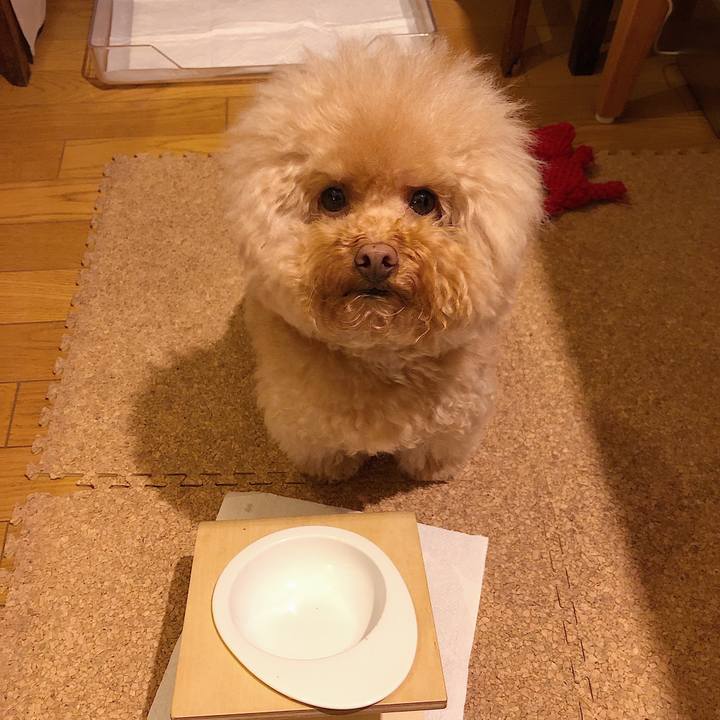 3185bcc1 da32 4dbc 9cde 360d014b6752 1548068650741