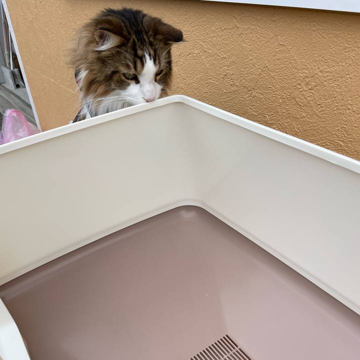 3185ecb7 2dde 43c6 bd4a 174fbb8b57c6 1683156979317