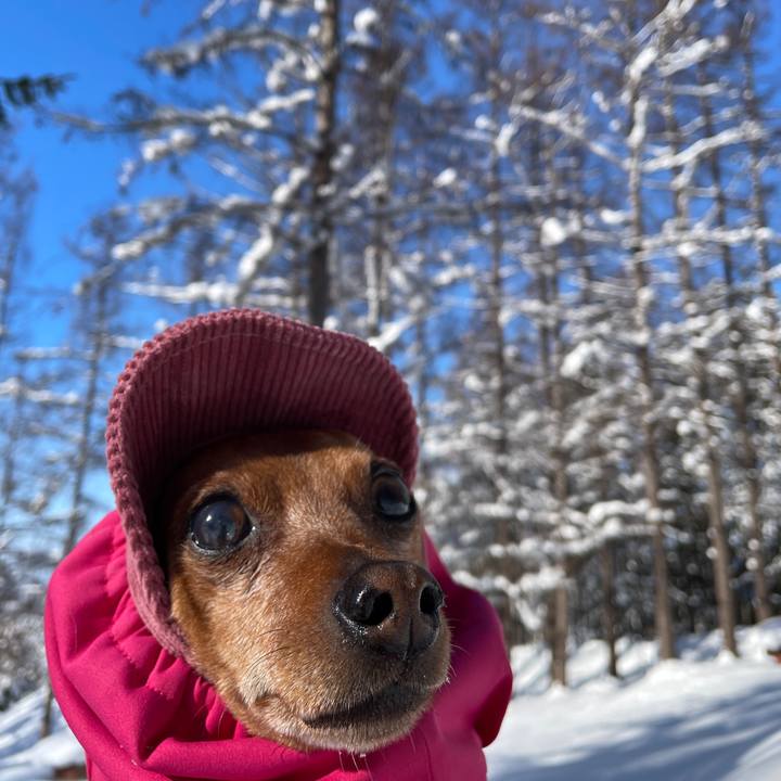 31860111 8b99 48ba 8a2a 60f8bfbc9171 1704148173423