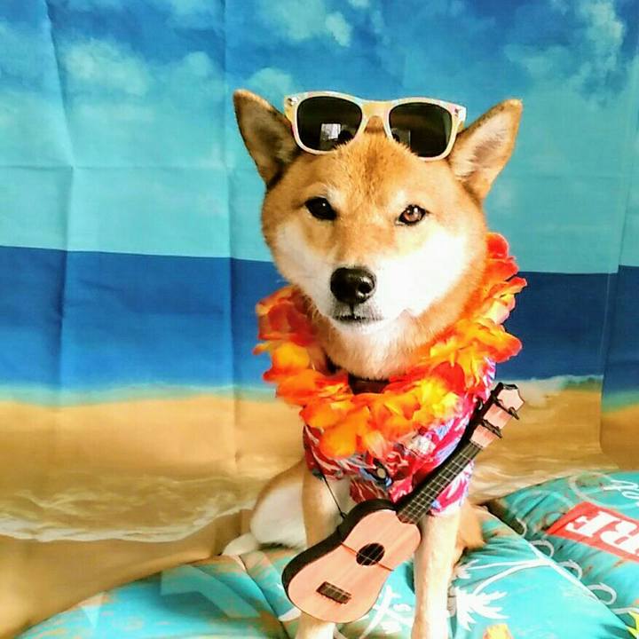 318659c7 29f7 4c35 8981 472462050970 1571308016077