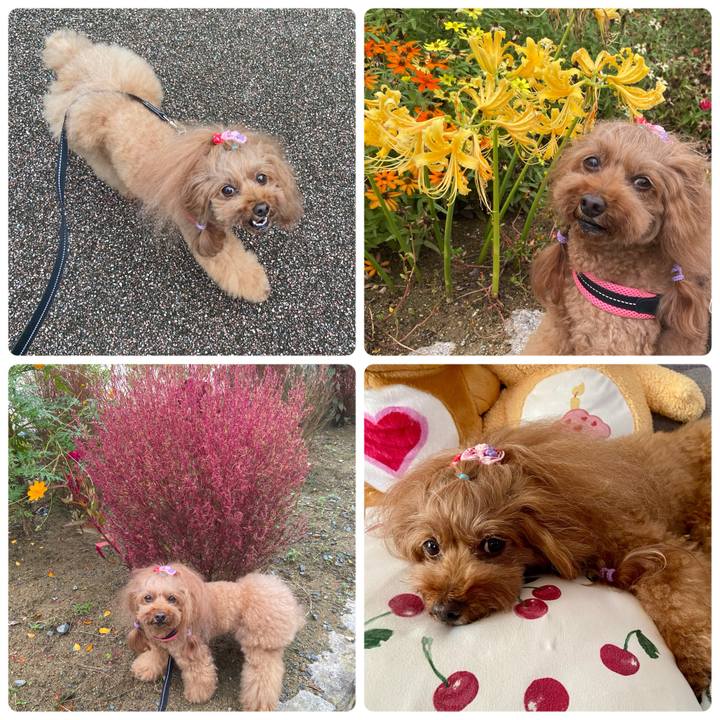 31865d75 5e0e 4e80 a3f8 817dc1790ad1 1760957519847