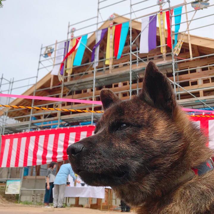 31866f8c b7ca 4c2c 9119 36fac4d03bd8 1529724424731