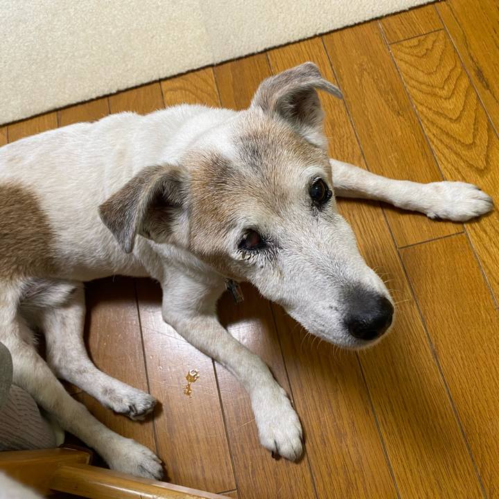 31868fac fb2a 4962 97ed c4835a190751 1713574201465