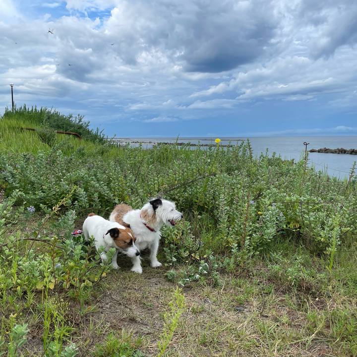 31869fde d35d 4ef5 bbe0 d3cbbb5486c6 1725058703296