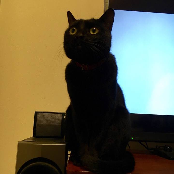 31870dfe d65c 492a 8bca 88079fdcb6bf 1510145642902