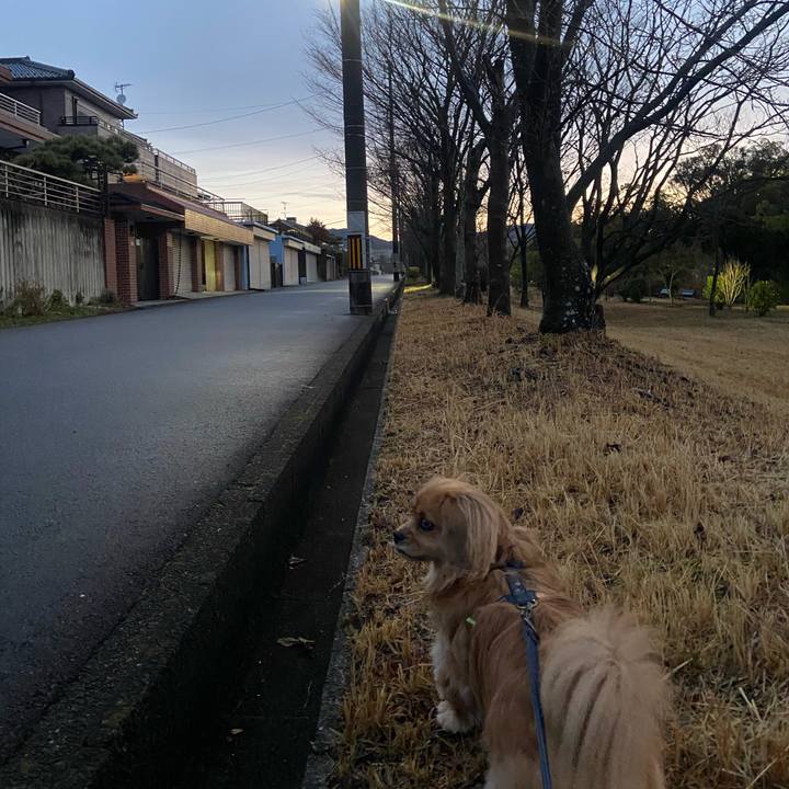 31872dc2 3f9c 455a b2ea 5817ecb78243 1579817403481