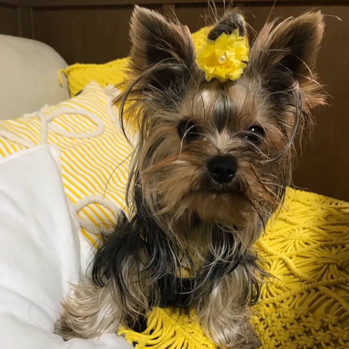 31872fee 6f89 47ae 8220 33735a498831 1659958411196