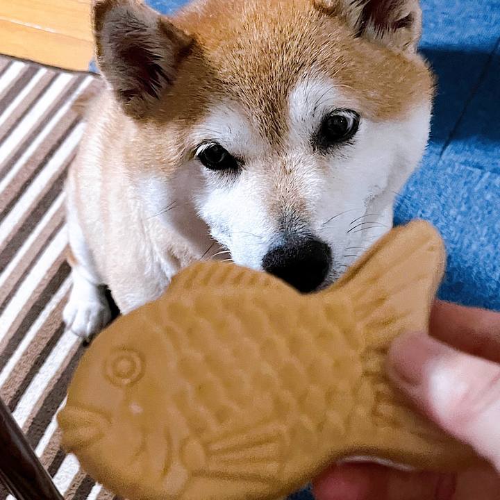 31875d19 7ed4 493d b176 76263ed32b7e 1721090249141