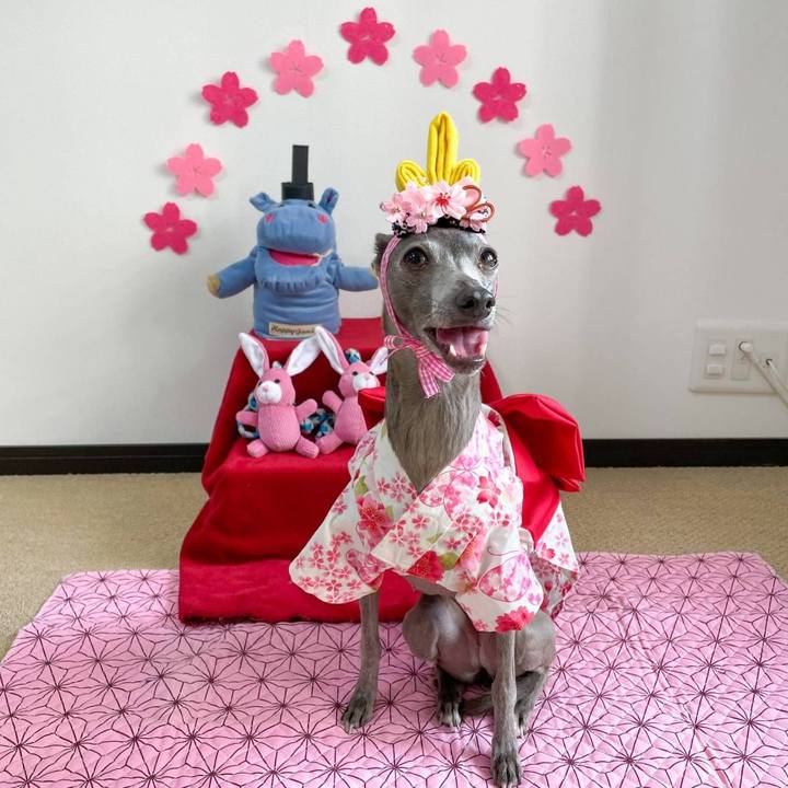 31876ba1 f442 44be be17 a1a268dd9c04 1763169240599