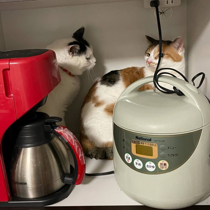 3187a3c6 88bf 4625 8d58 9526d024dc79 1612450561148