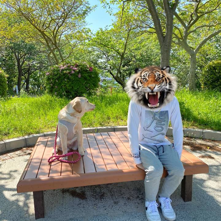 3187b058 8c5f 4193 b7f2 ecbbb1f25b9b 1619336155661