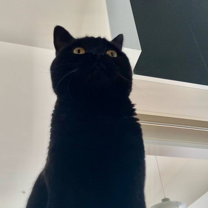 3187e381 16e1 433e 9cf6 894750c40310 1767854106452