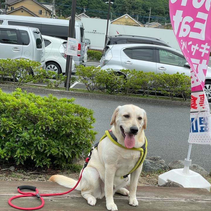 31880214 93b3 4ccc 954f 015f1fbed85e 1632823164684