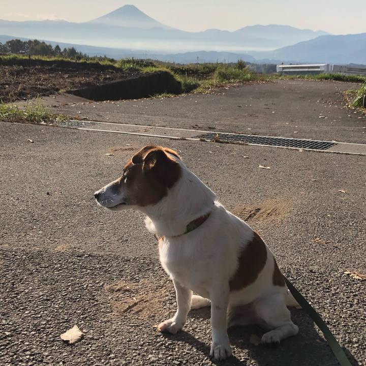 31883a6d 2952 46d3 836f 9a7517a7ba55 1604901216512