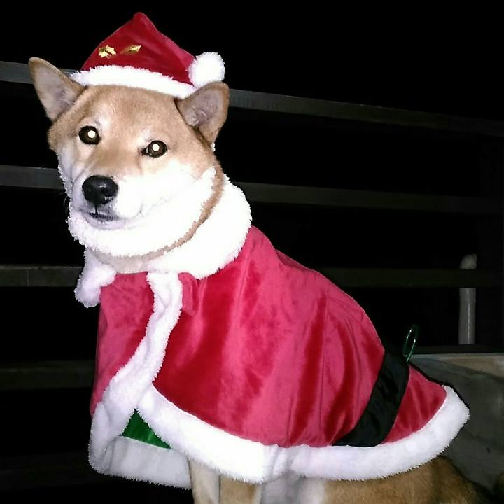 31888616 9120 4add bd78 1d138d481f91 1545649893956