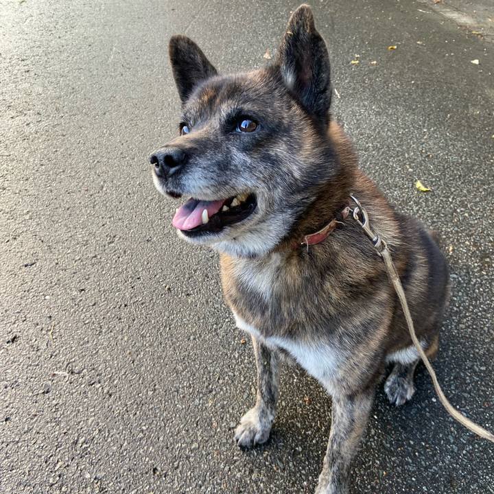 31889156 3f29 4434 bff4 bb2811f0f204 1604874647562