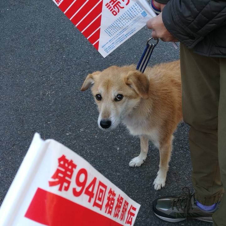 31889394 9337 48c6 b71a fba0cda093f3 1514976580520