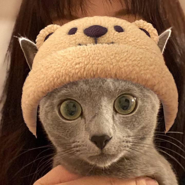 3188ac08 9bb2 435a 92a0 709d596c2726 1637548976092